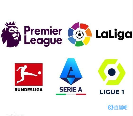 选民对联盟 选民对联盟